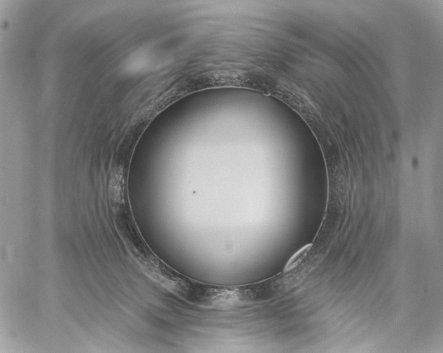 X0000059080083200510211552