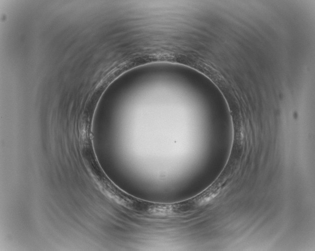 X0000059080084200510211552