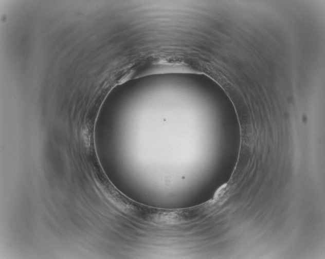 X0000059080086200510211552