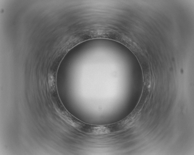 X0000059080087200510211552