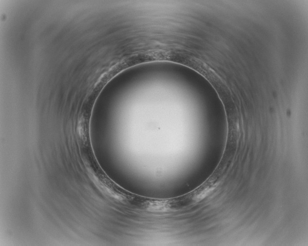 X0000059080088200510211553