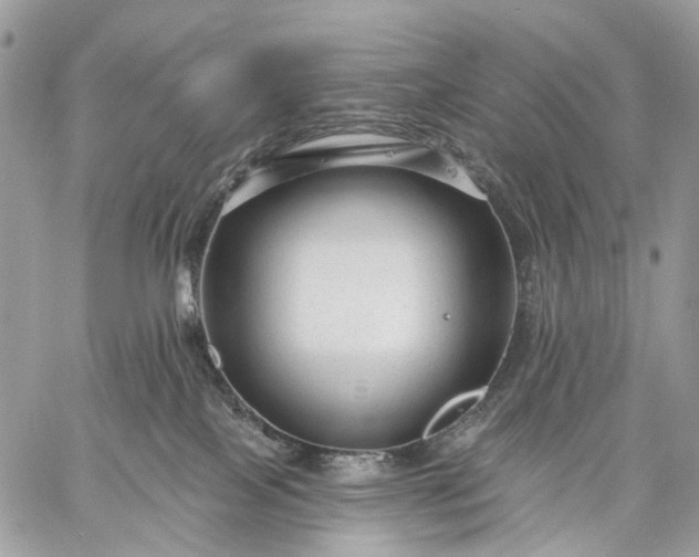 X0000059080089200510211553