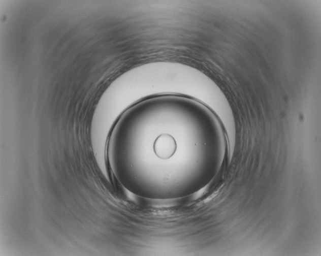 X0000059080091200510211553