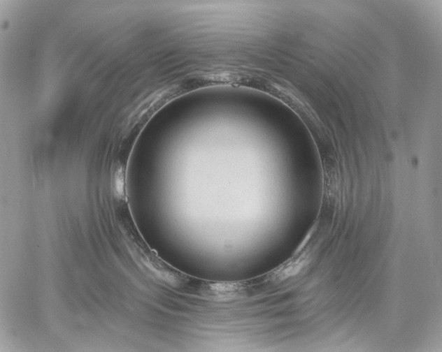 X0000059080095200510211553