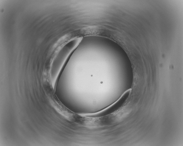 X0000059080096200510211553