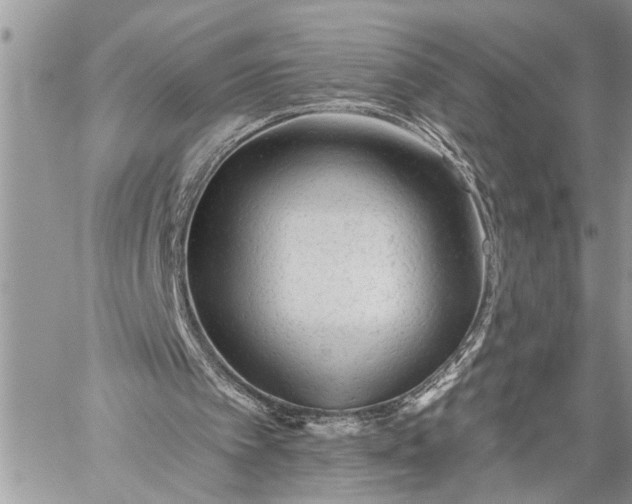 X0000059080097200510211552