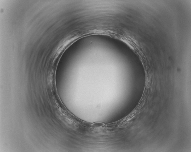 X0000059080098200510211552