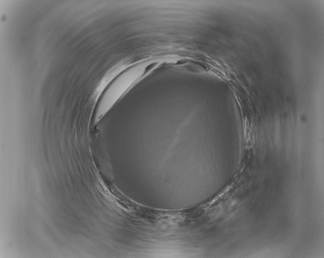 X0000059080099200510211552