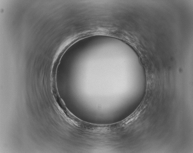 X0000059080102200510211552