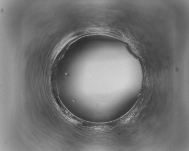 X0000059080103200510211552