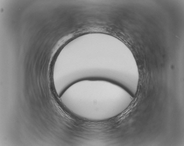 X0000059080104200510211552