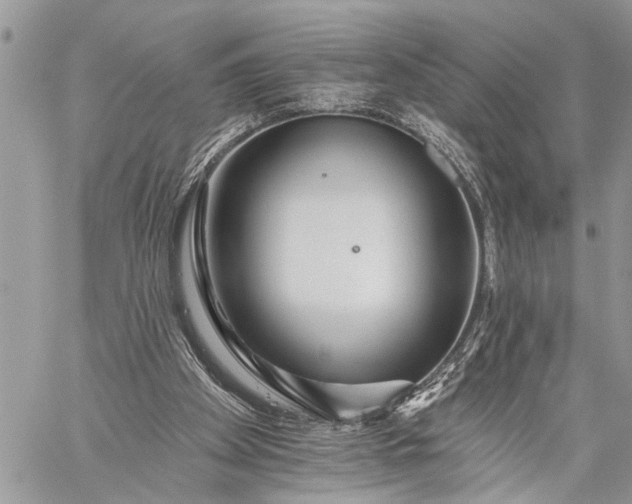 X0000059080105200510211552