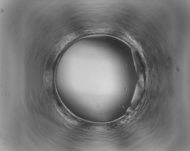 X0000059080107200510211552