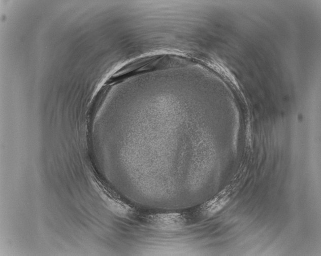 X0000059080108200510211552