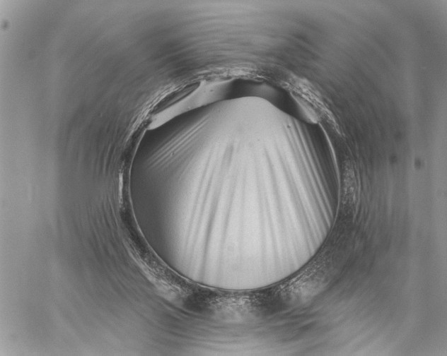 X0000059080110200510211552