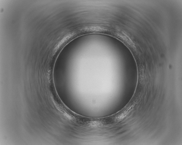 X0000059080111200510211552