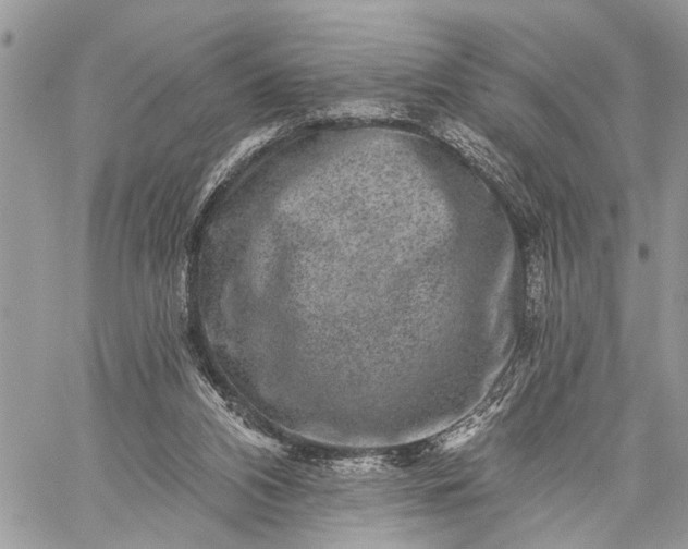 X0000059080112200510211552