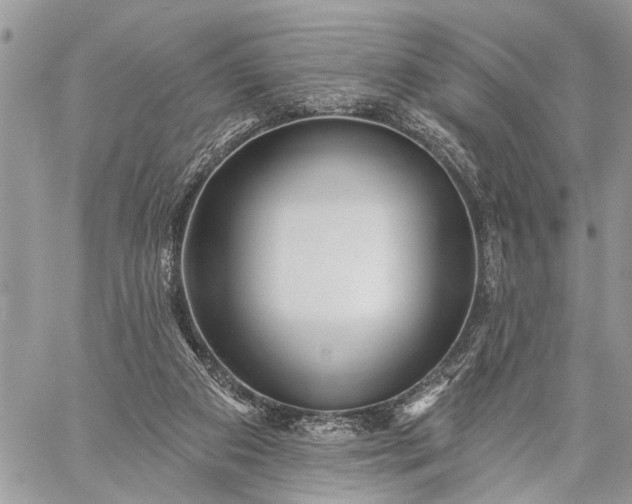 X0000059080113200510211552