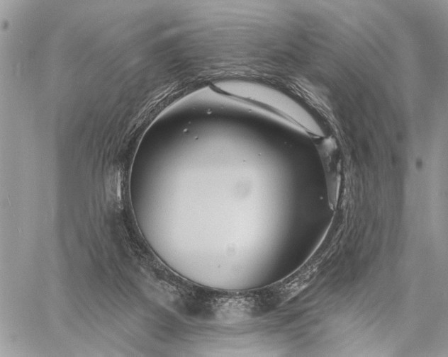 X0000059080115200510211552