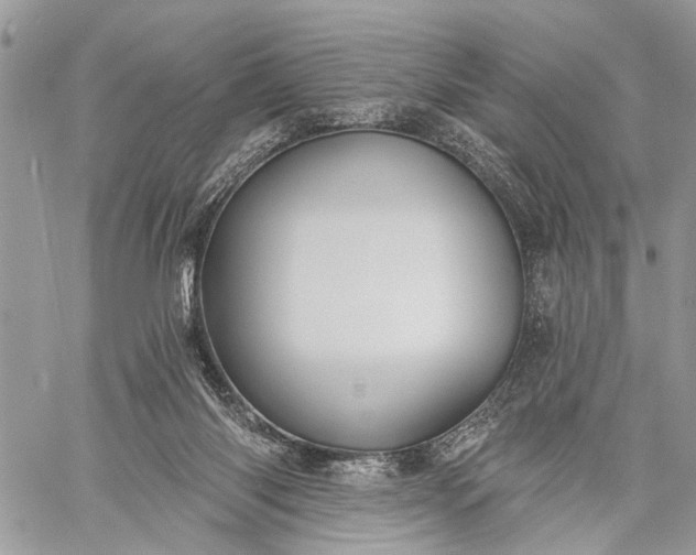 X0000059080118200510211552