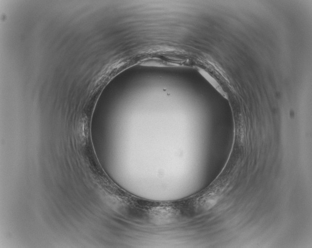 X0000059080119200510211551