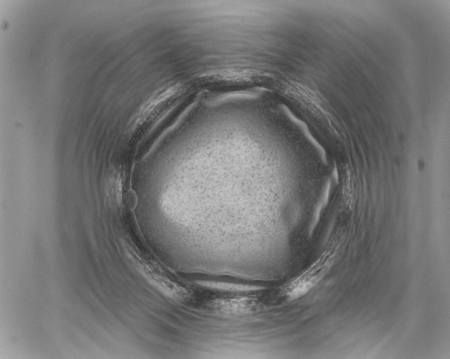 X0000059080120200510211551