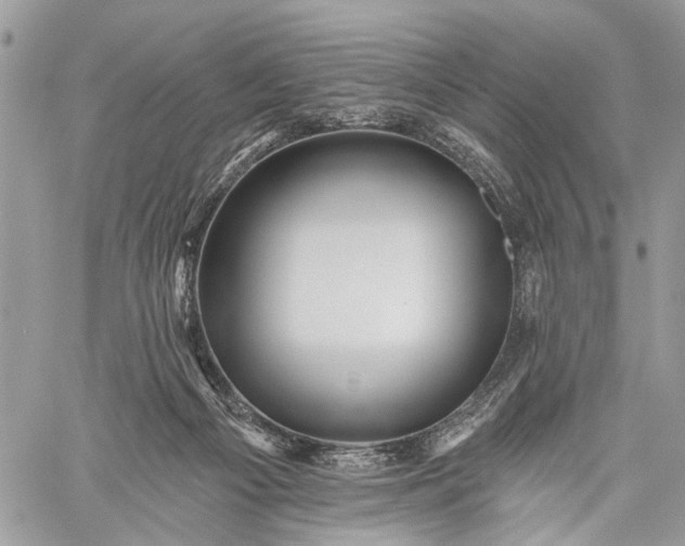 X0000059080121200510211551