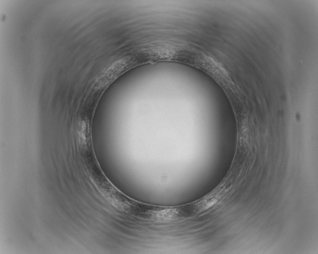 X0000059080122200510211551