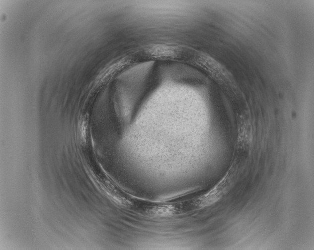 X0000059080124200510211551