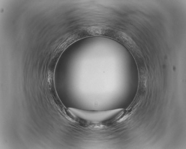 X0000059080125200510211551