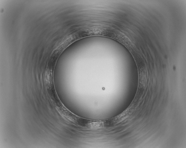 X0000059080126200510211551