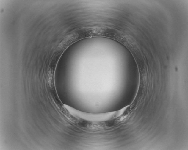 X0000059080129200510211551