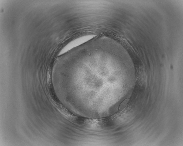 X0000059080131200510211551