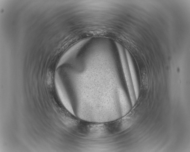 X0000059080132200510211551