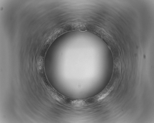 X0000059080133200510211551