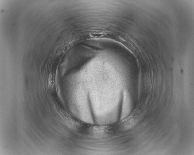 X0000059080134200510211551