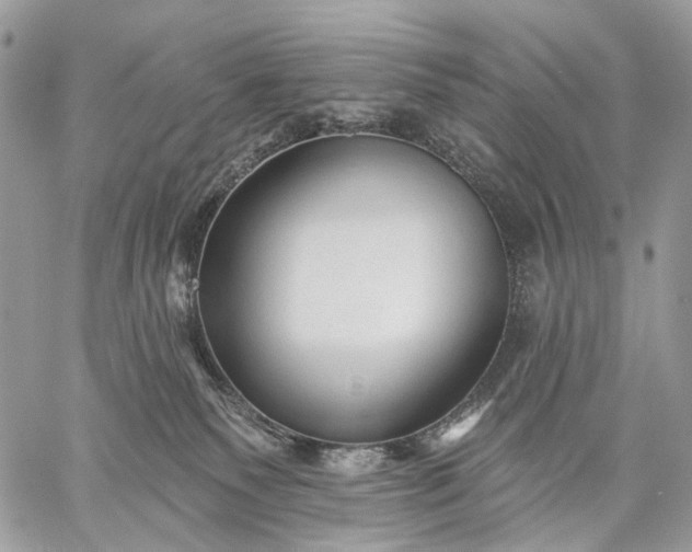 X0000059080135200510211551