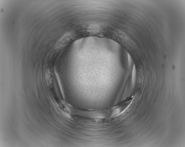 X0000059080136200510211551