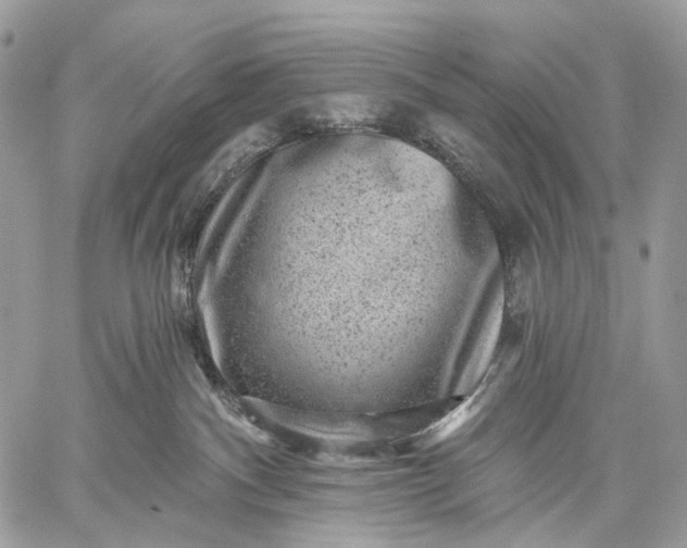 X0000059080140200510211551