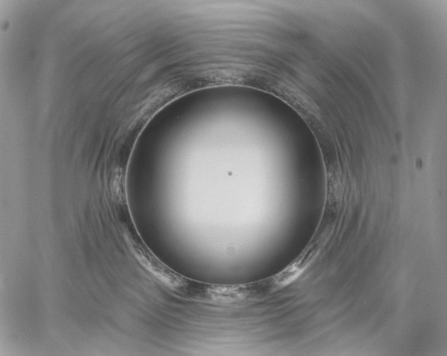 X0000059080141200510211551