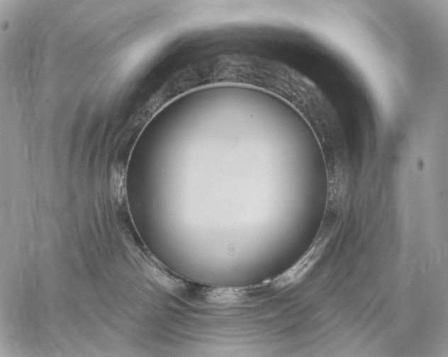 X0000059080142200510211551