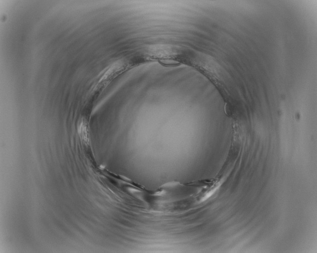 X0000059080143200510211551