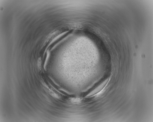 X0000059080144200510211551