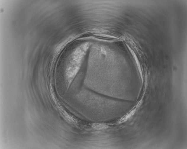 X0000059080145200510211550