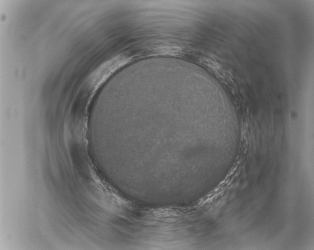 X0000059080146200510211550