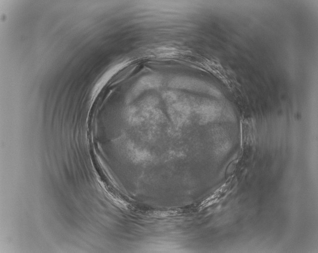 X0000059080147200510211550