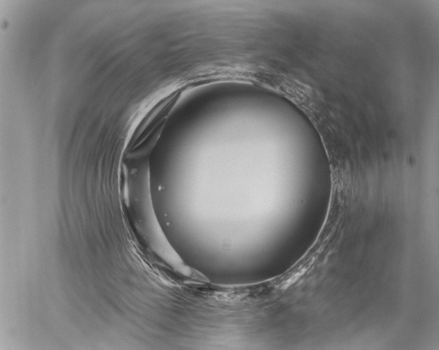 X0000059080148200510211550