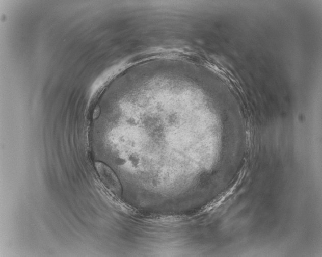 X0000059080149200510211550