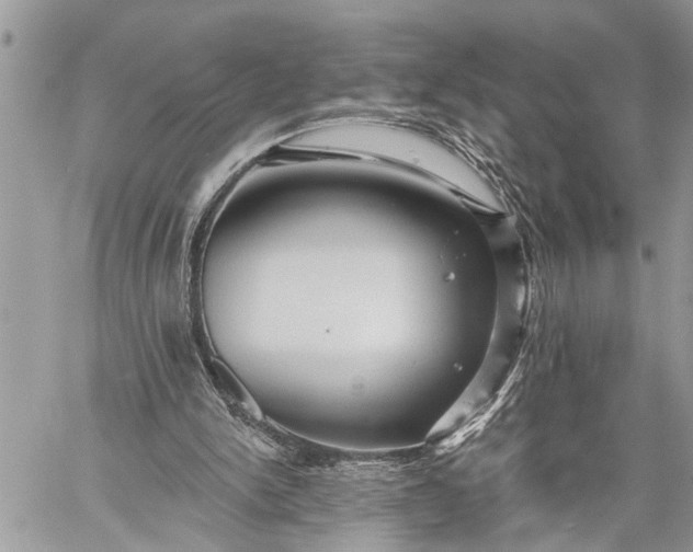 X0000059080150200510211550