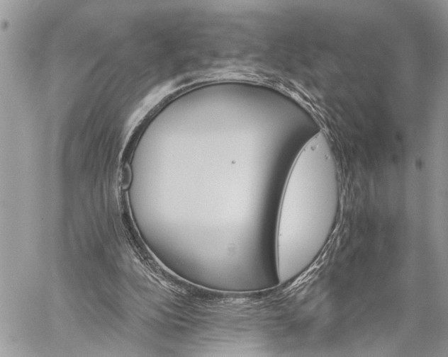 X0000059080152200510211550